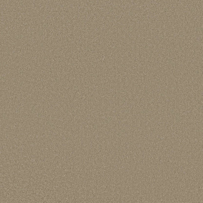 TEXTURE BCF