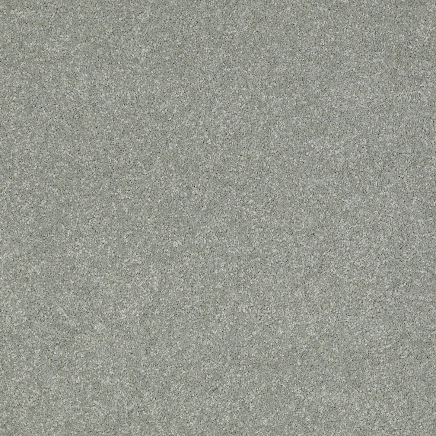 TEXTURE BCF