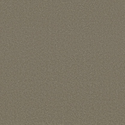 TEXTURE BCF