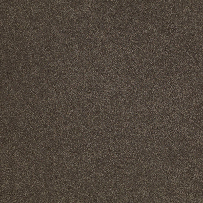 TEXTURE BCF