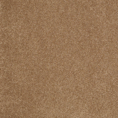 TEXTURE BCF