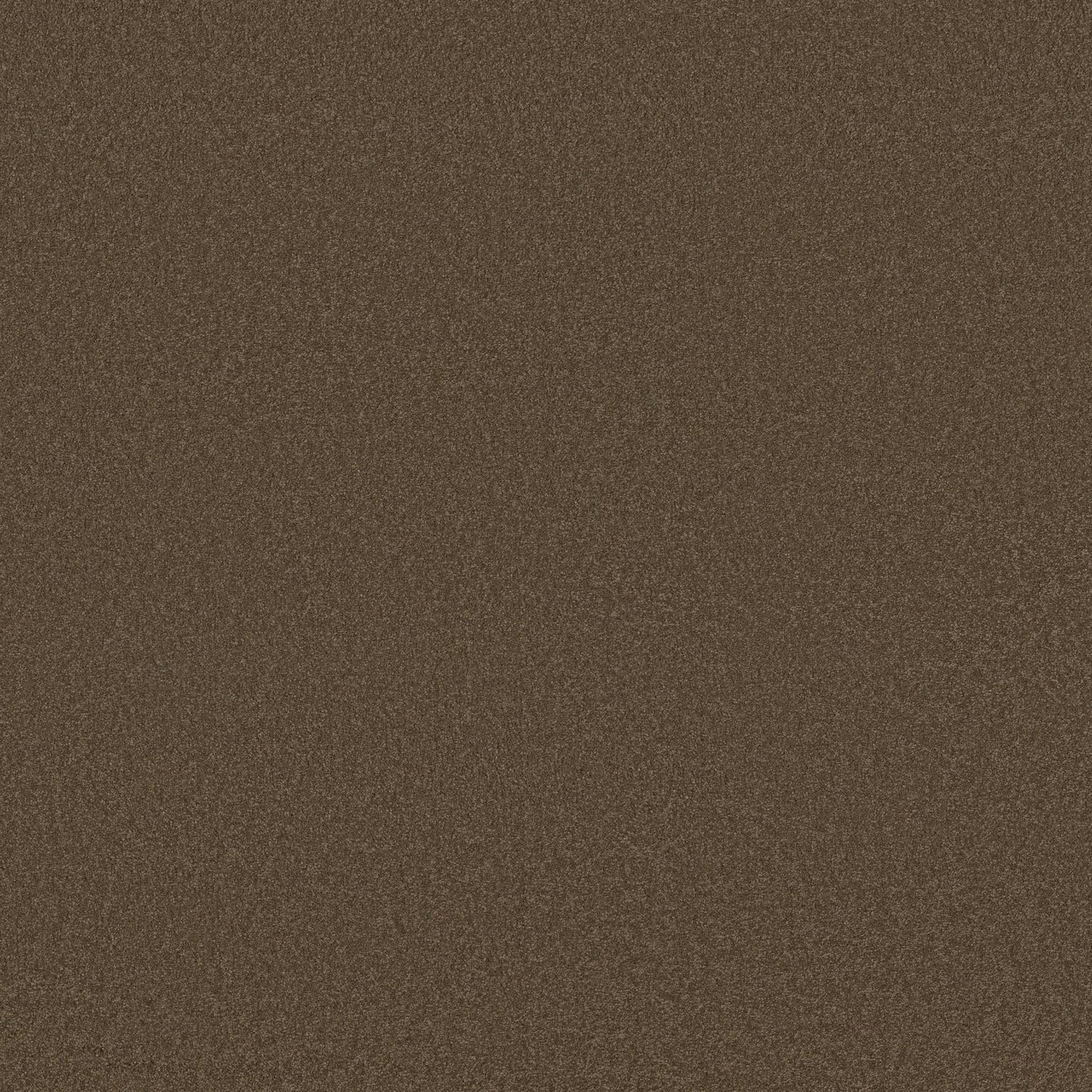 TEXTURE BCF