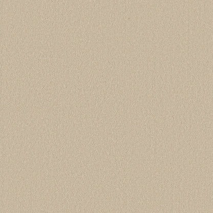 TEXTURE BCF