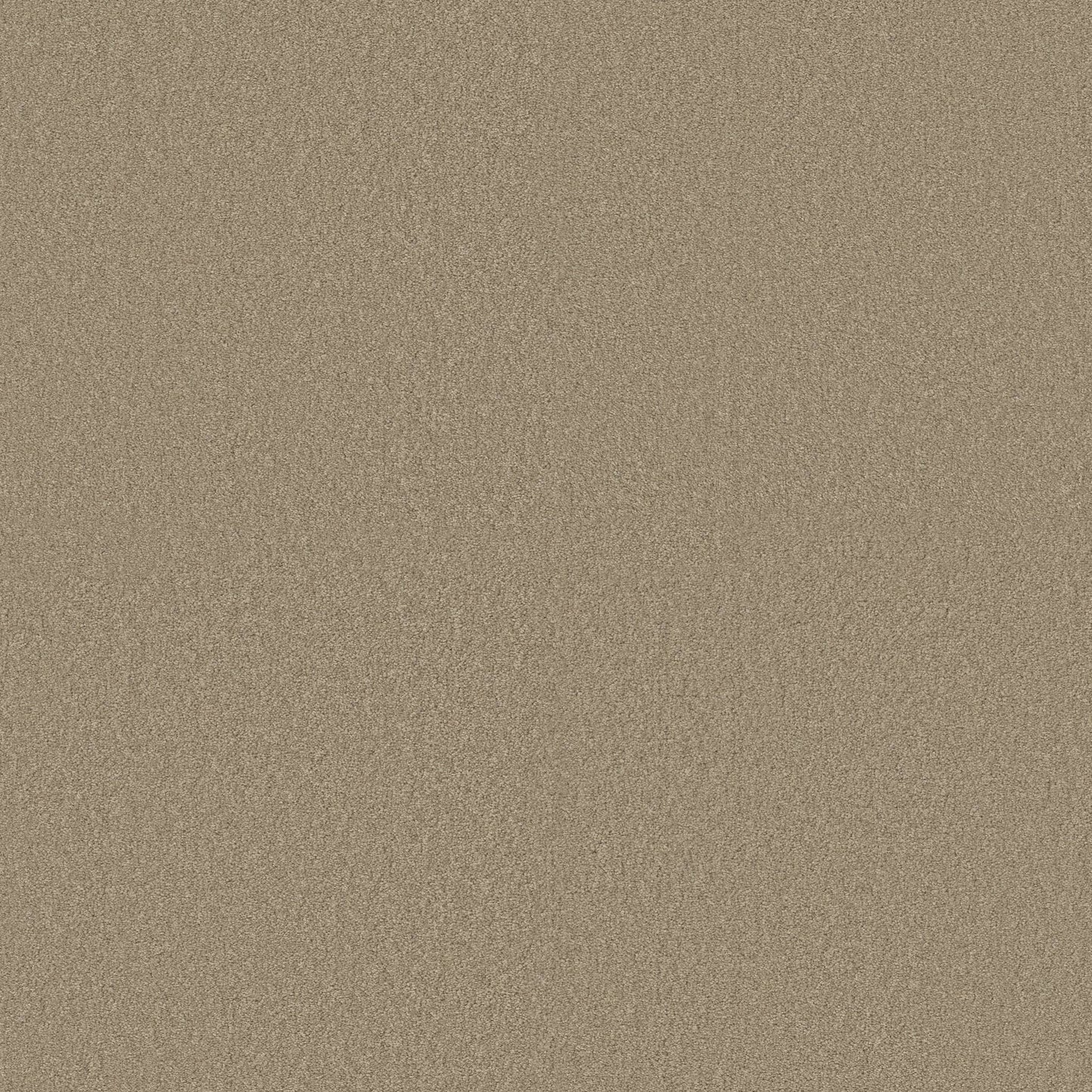 TEXTURE BCF
