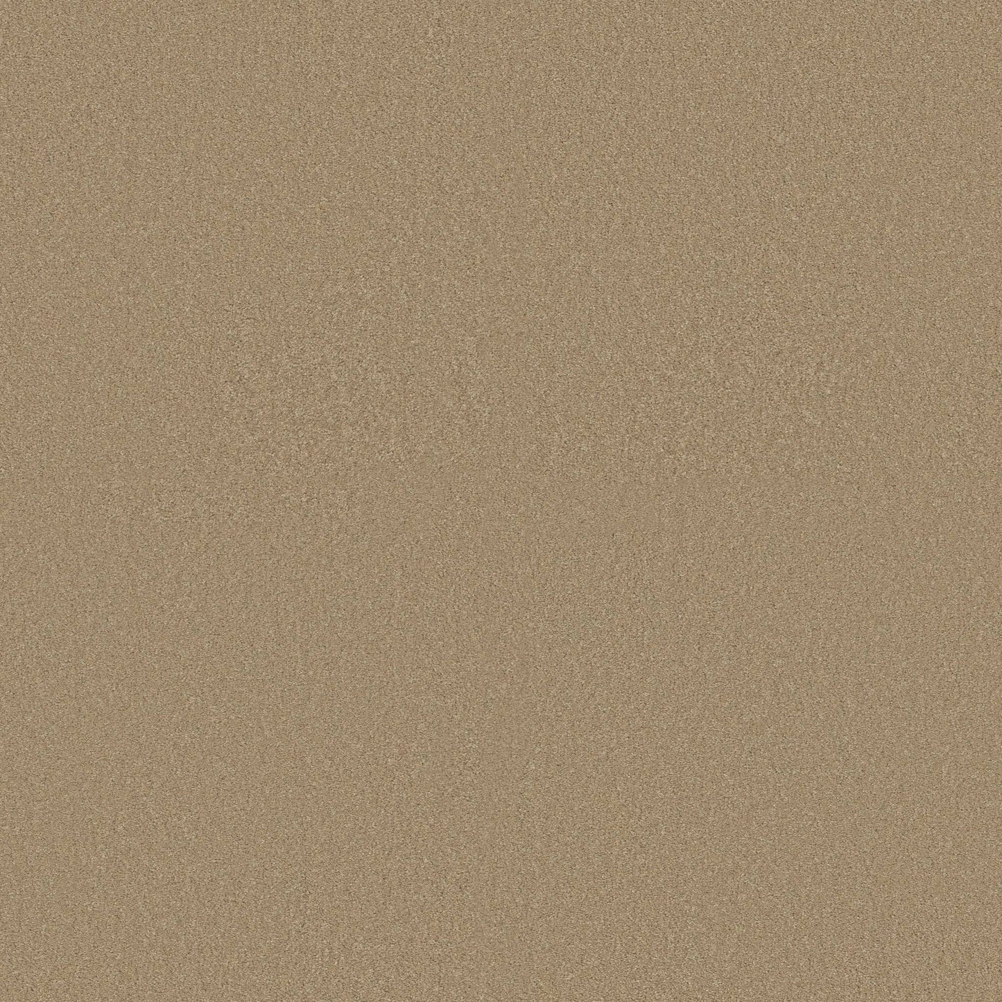 TEXTURE BCF
