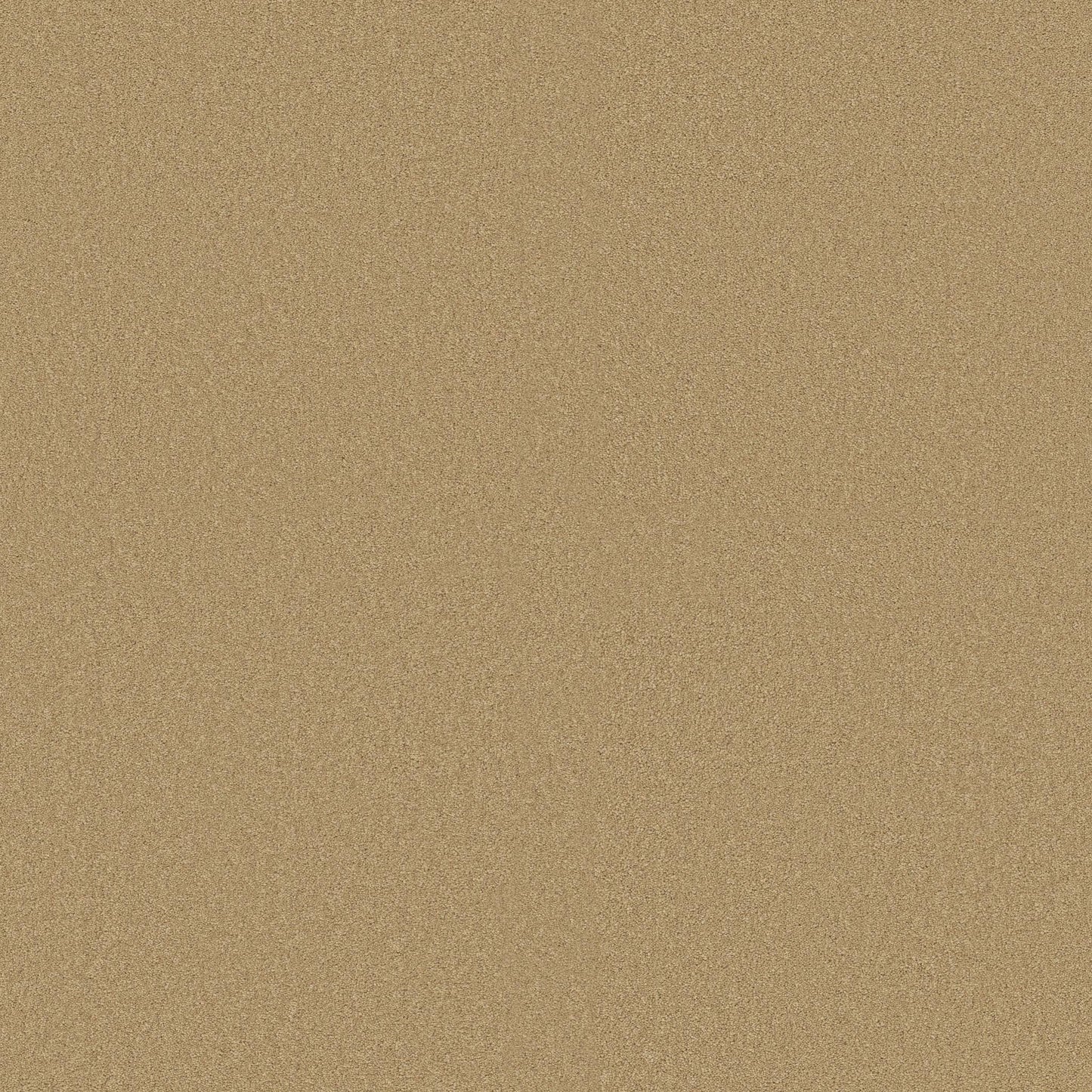 TEXTURE BCF