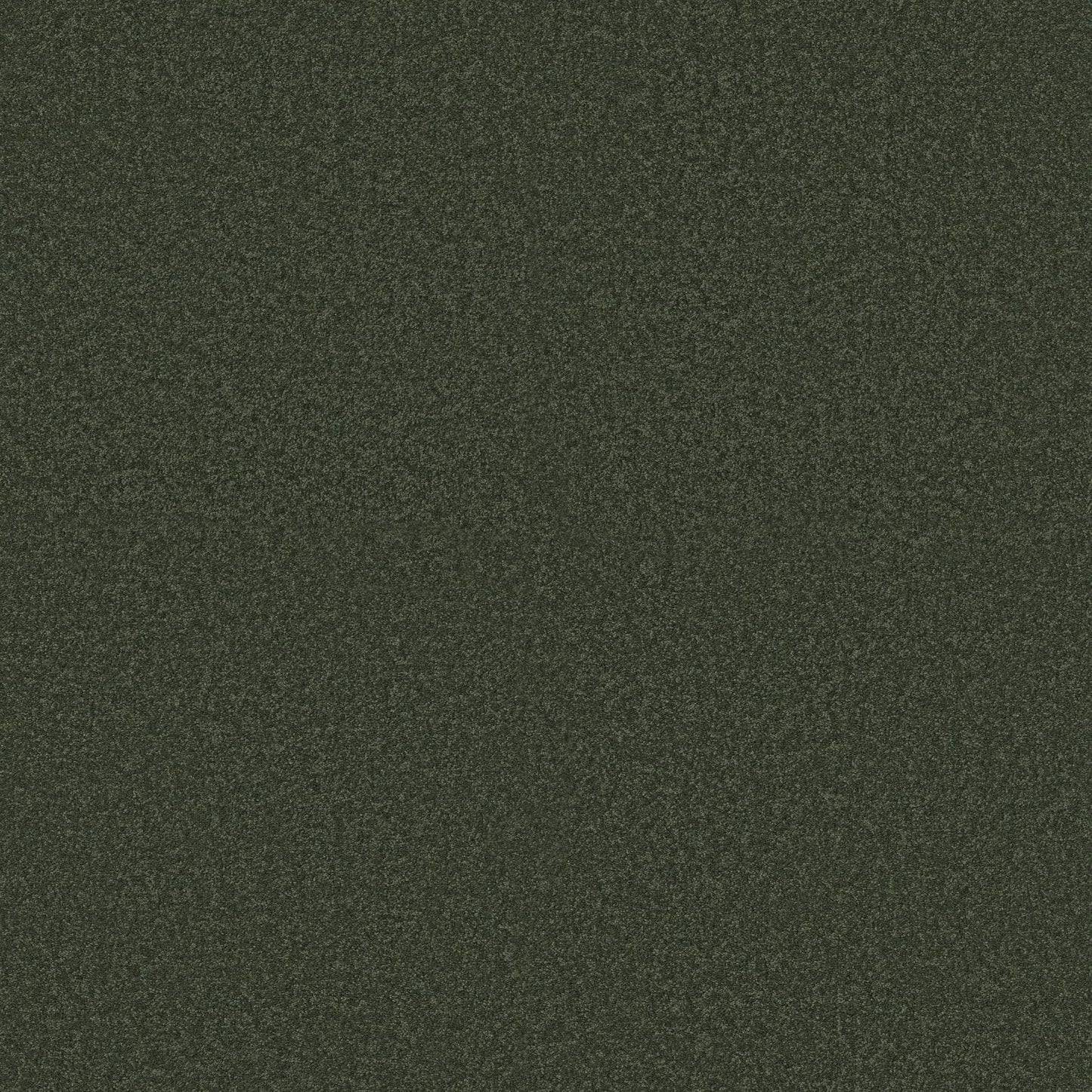 TEXTURE BCF
