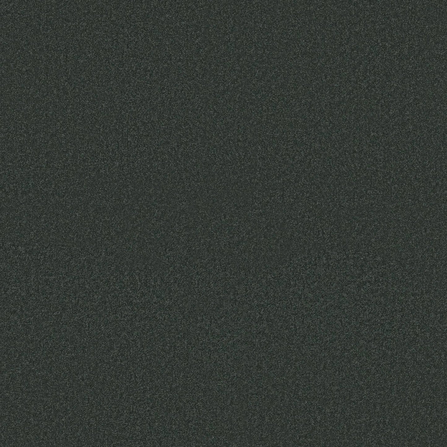 TEXTURE BCF
