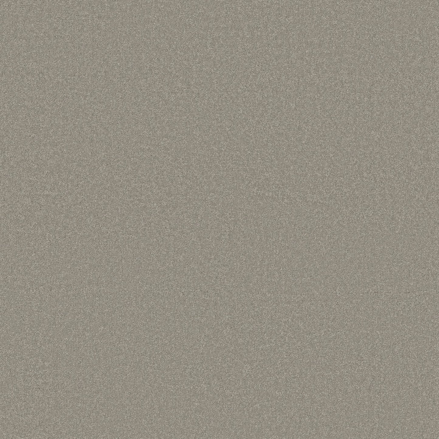 TEXTURE BCF