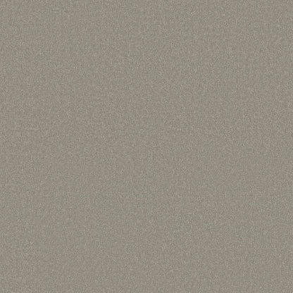 TEXTURE BCF