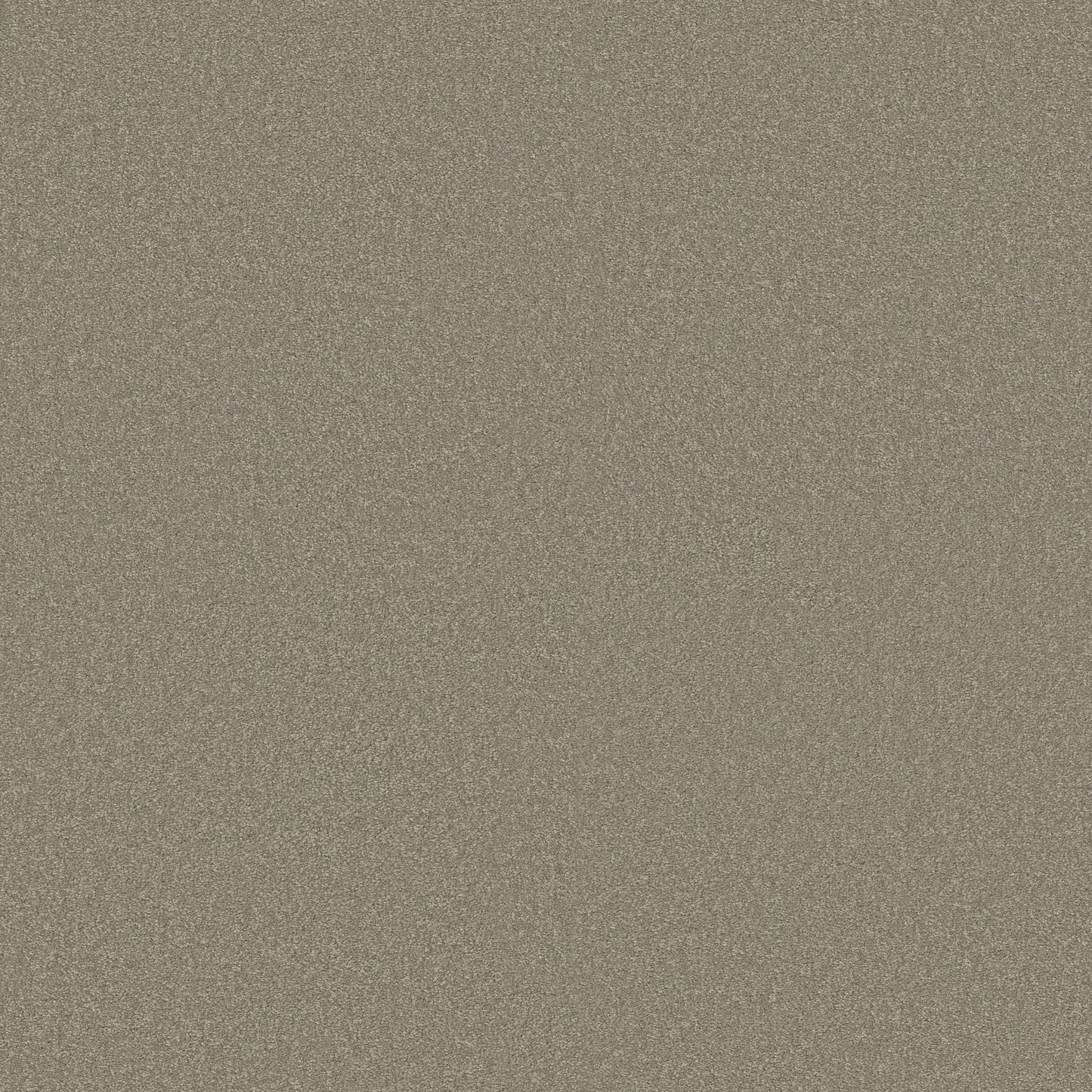 TEXTURE BCF