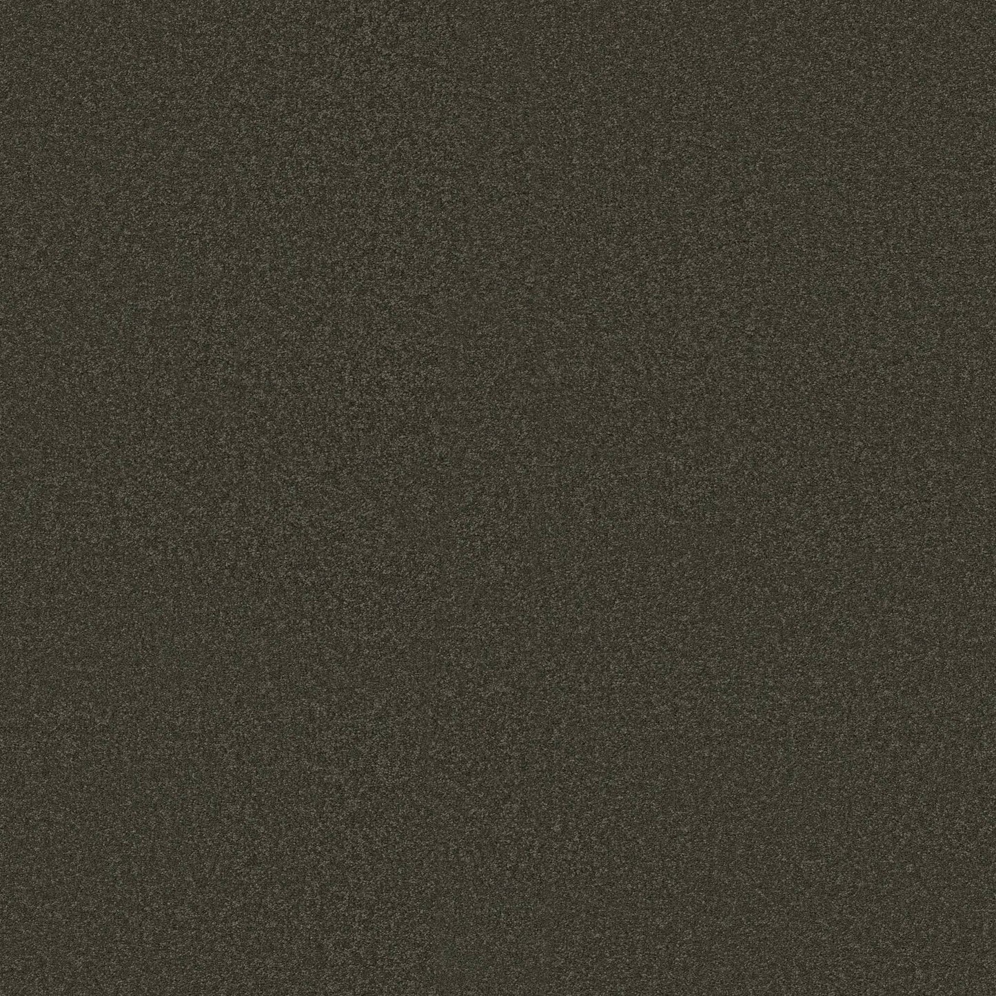 TEXTURE BCF