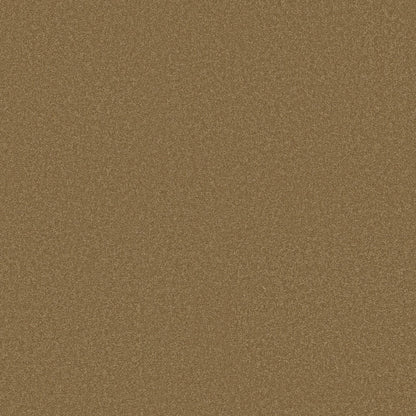 TEXTURE BCF
