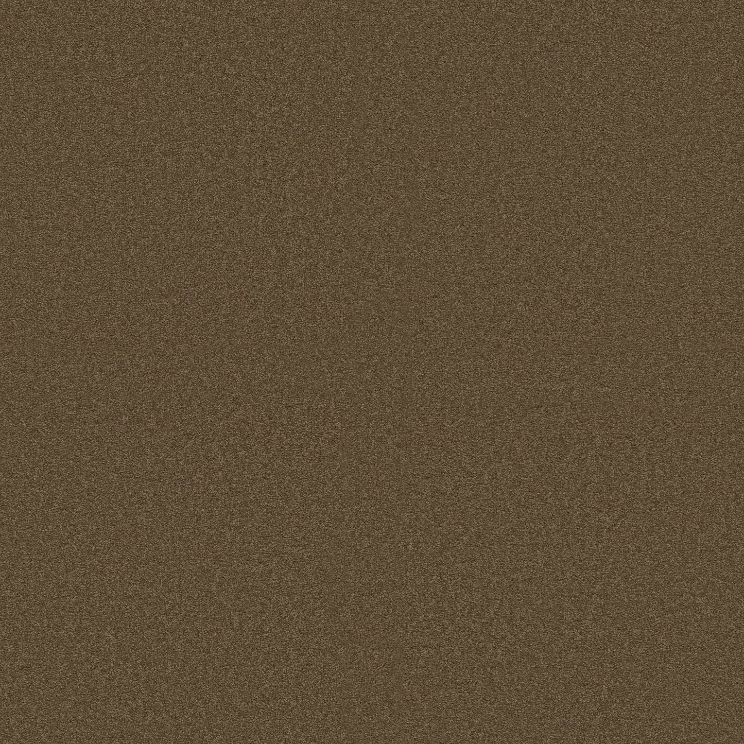 TEXTURE BCF