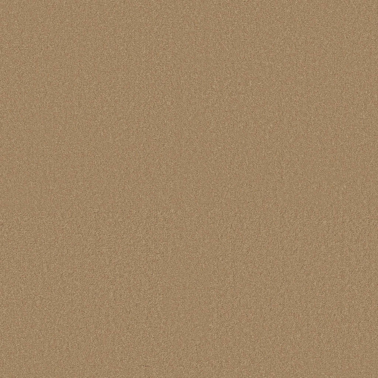 TEXTURE BCF