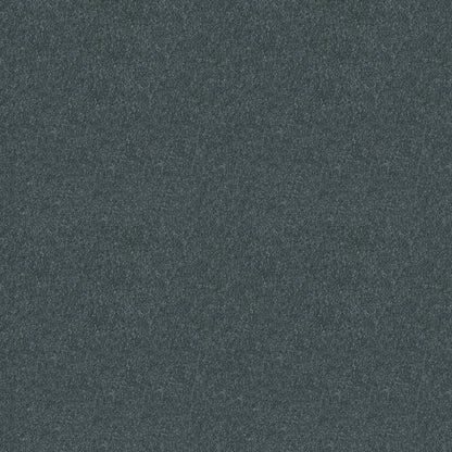 PET BCF