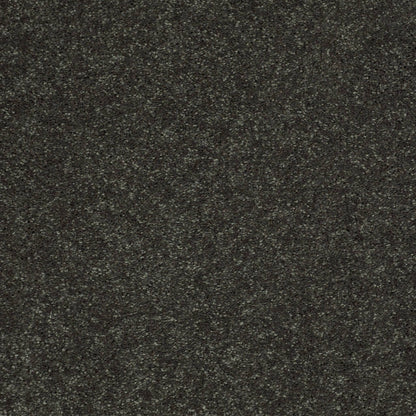 PET BCF