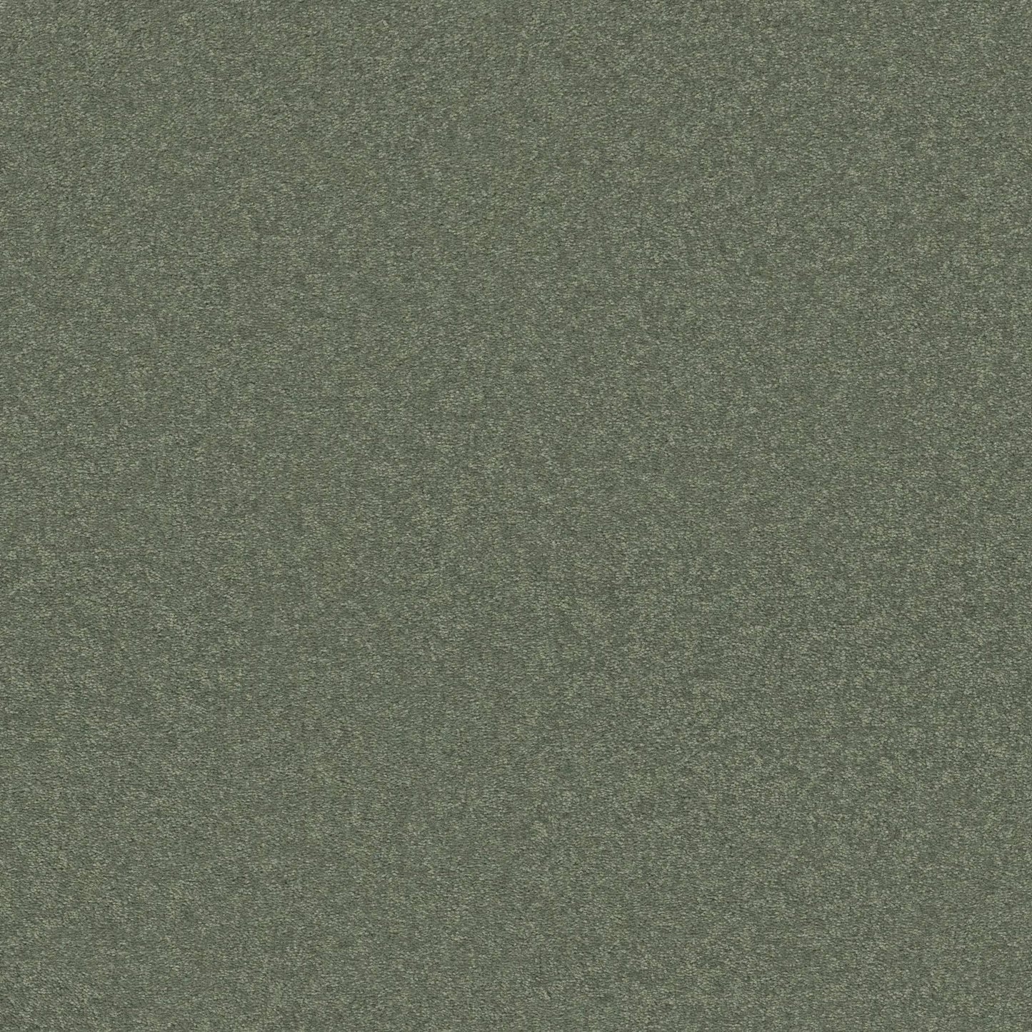 PET BCF