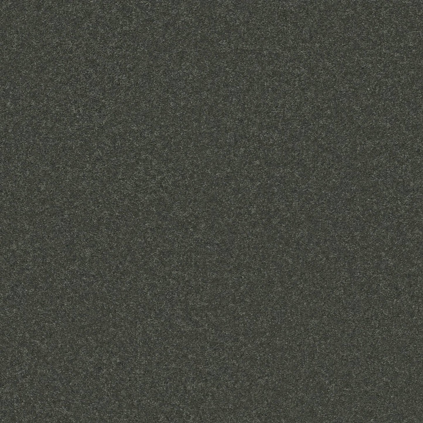 PET BCF