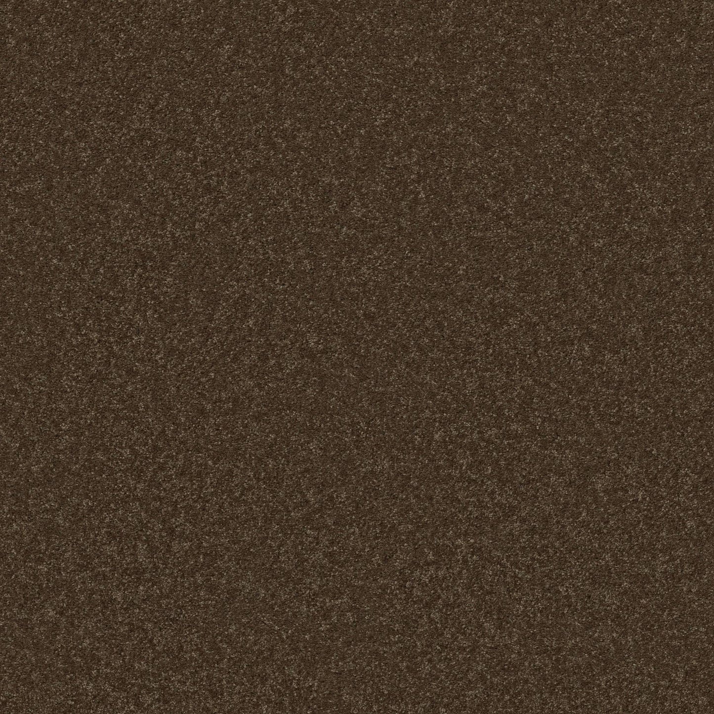PET BCF