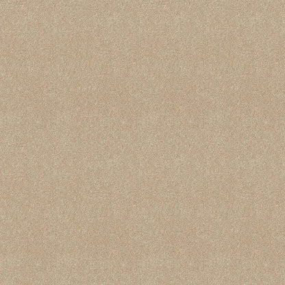 TEXTURE BCF