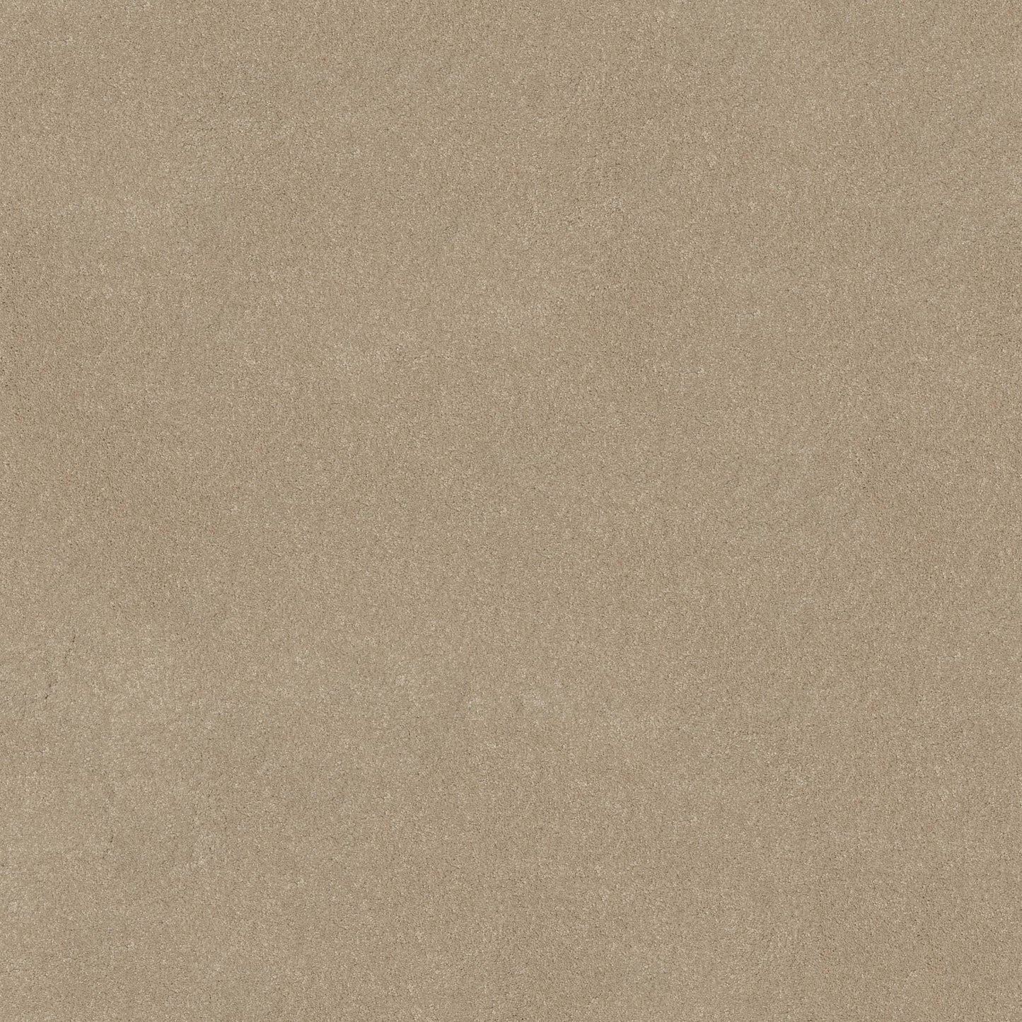 TEXTURE BCF