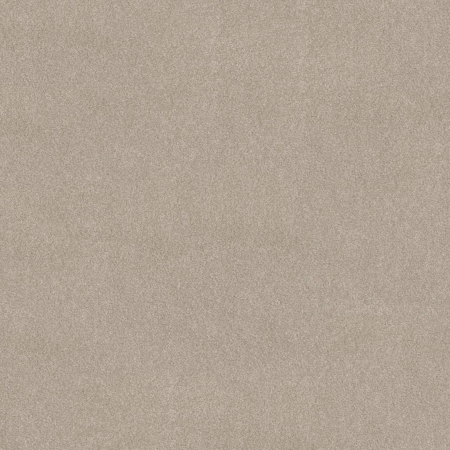TEXTURE BCF