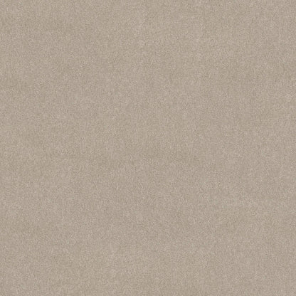 TEXTURE BCF