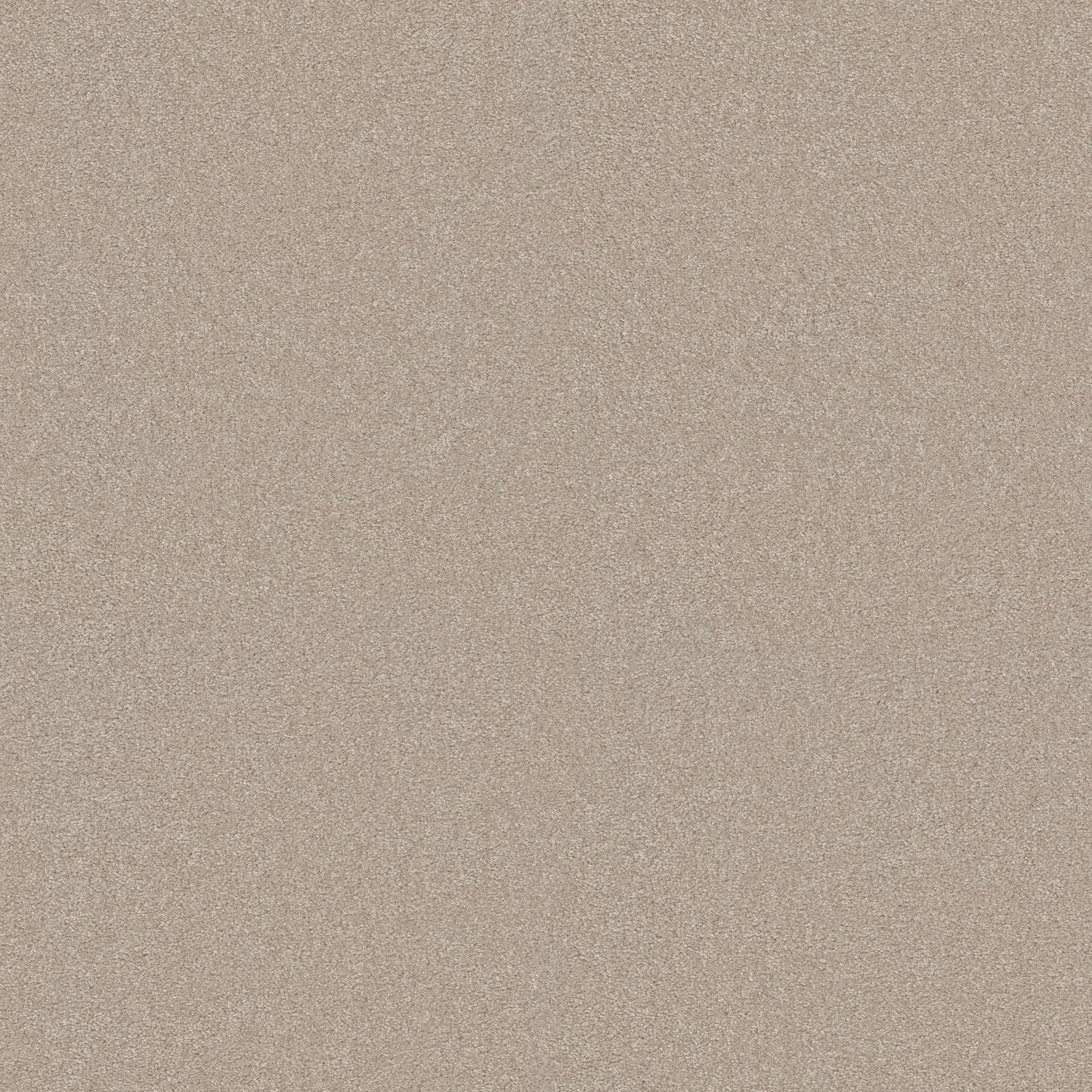 TEXTURE BCF