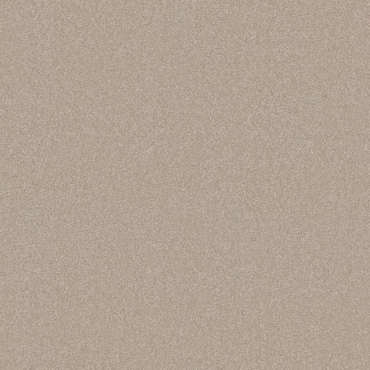 TEXTURE BCF