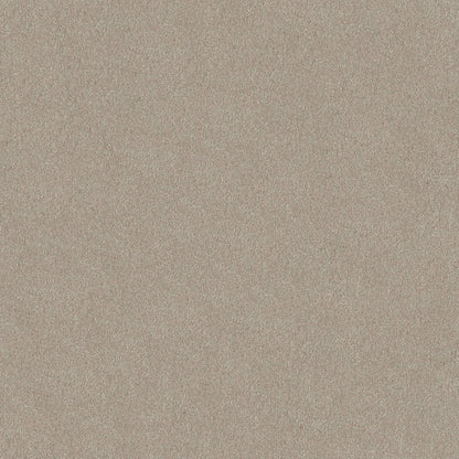 TEXTURE BCF
