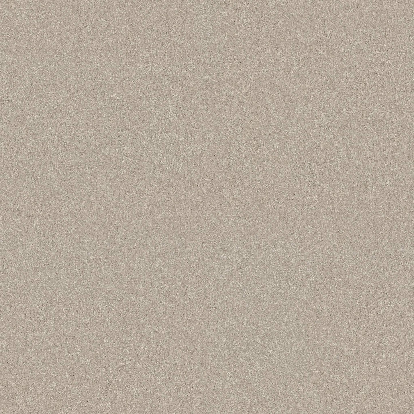 TEXTURE BCF