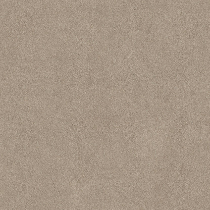 TEXTURE BCF