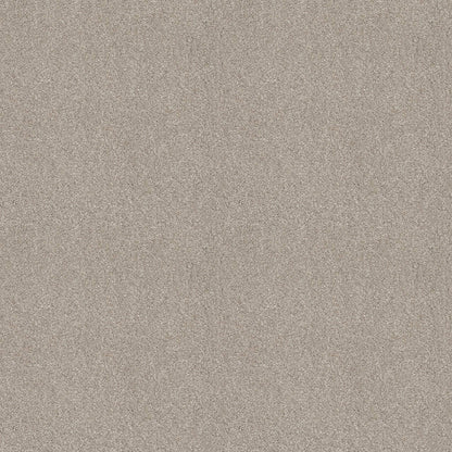TEXTURE BCF