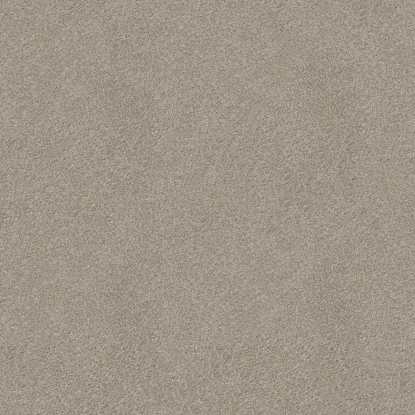 TEXTURE BCF