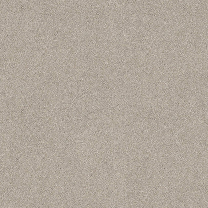 TEXTURE BCF