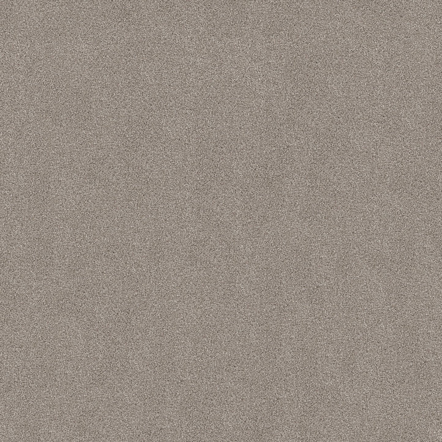 TEXTURE BCF