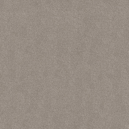 TEXTURE BCF