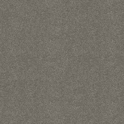 TEXTURE BCF