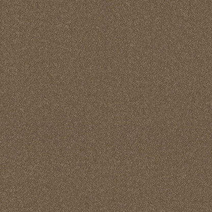 TEXTURE BCF