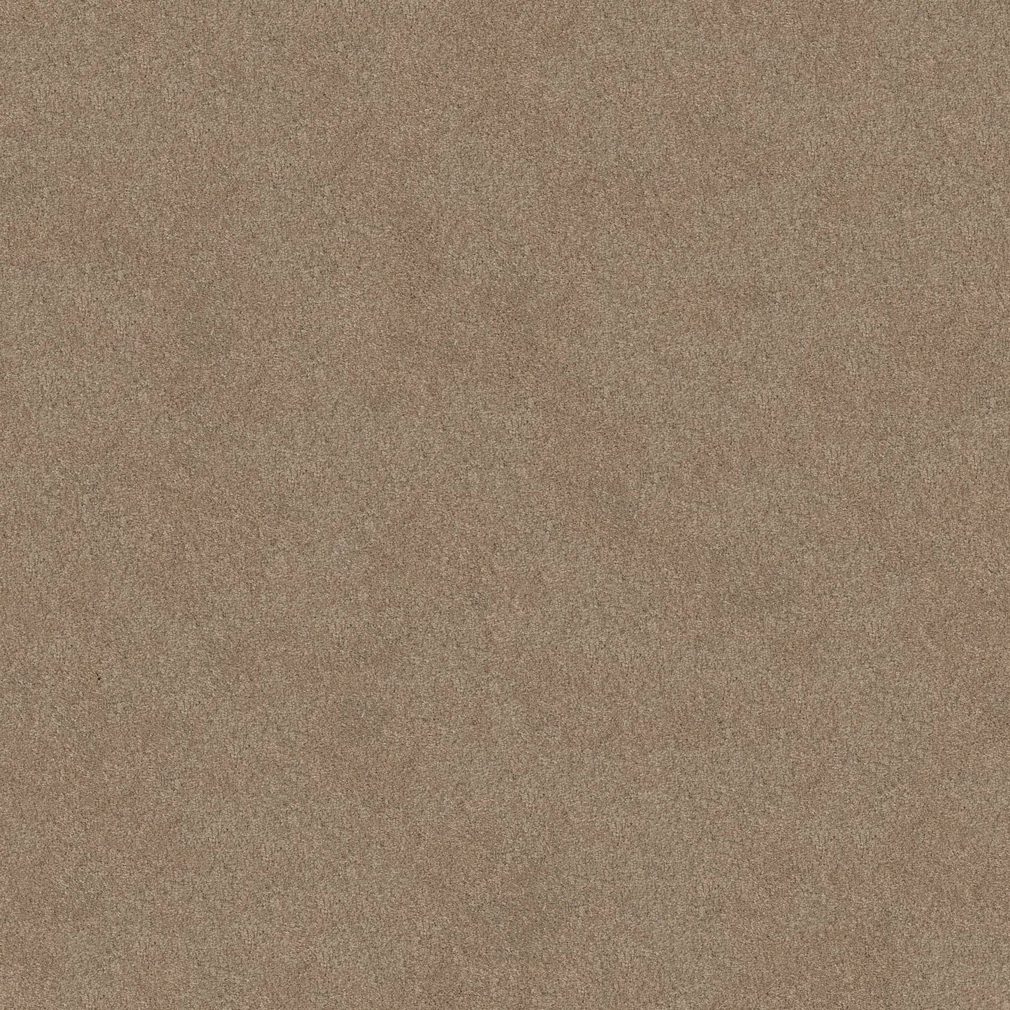TEXTURE BCF