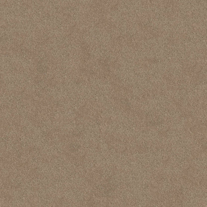 TEXTURE BCF