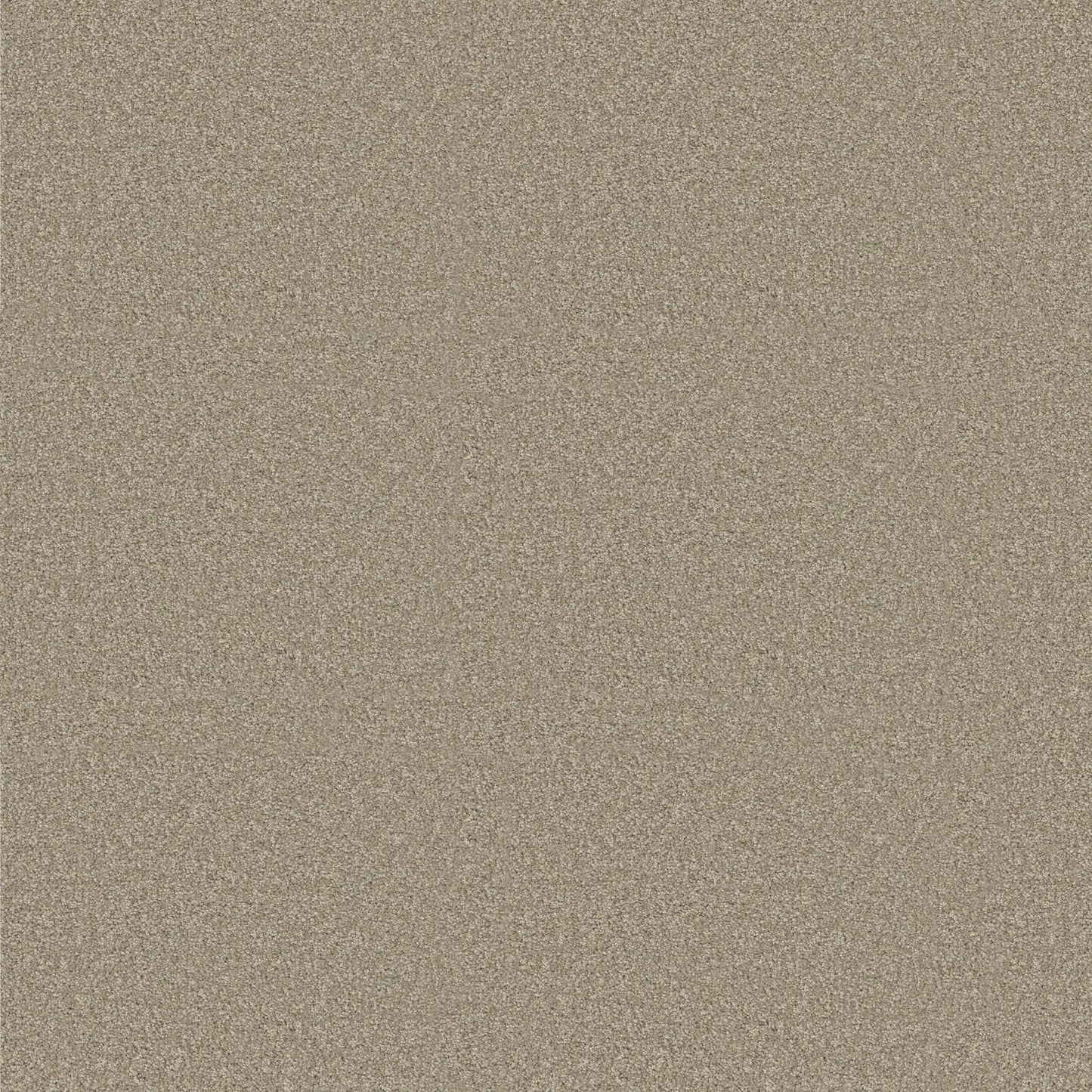 TEXTURE BCF