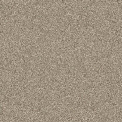 TEXTURE BCF