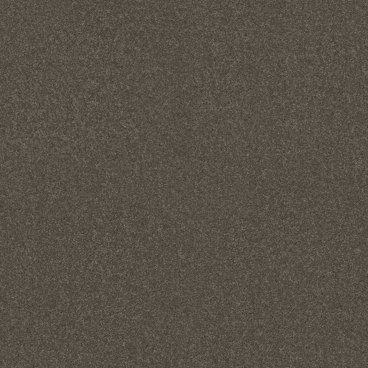 TEXTURE BCF