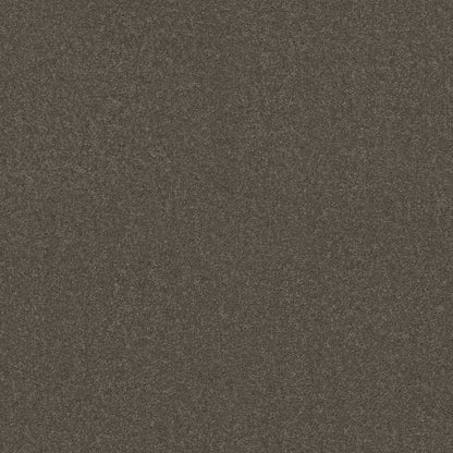 TEXTURE BCF