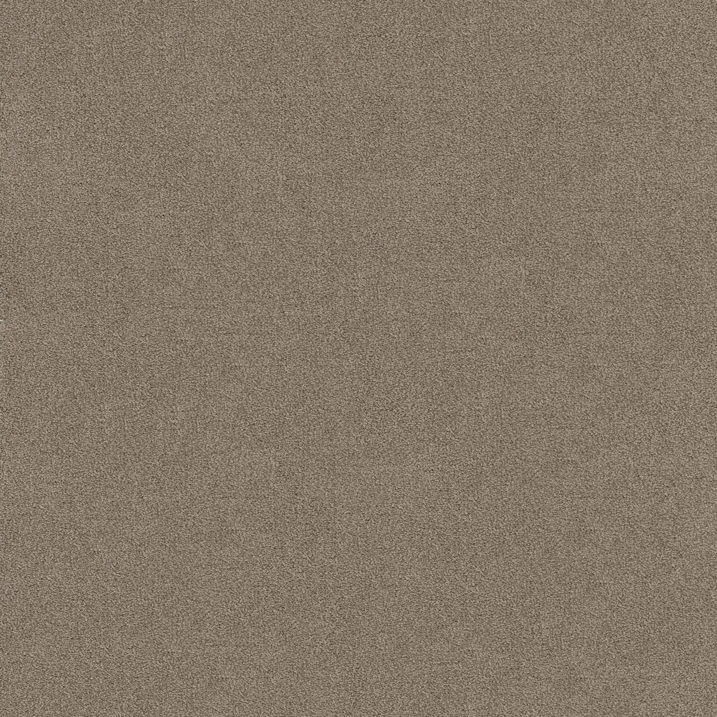 TEXTURE BCF