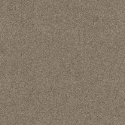 TEXTURE BCF