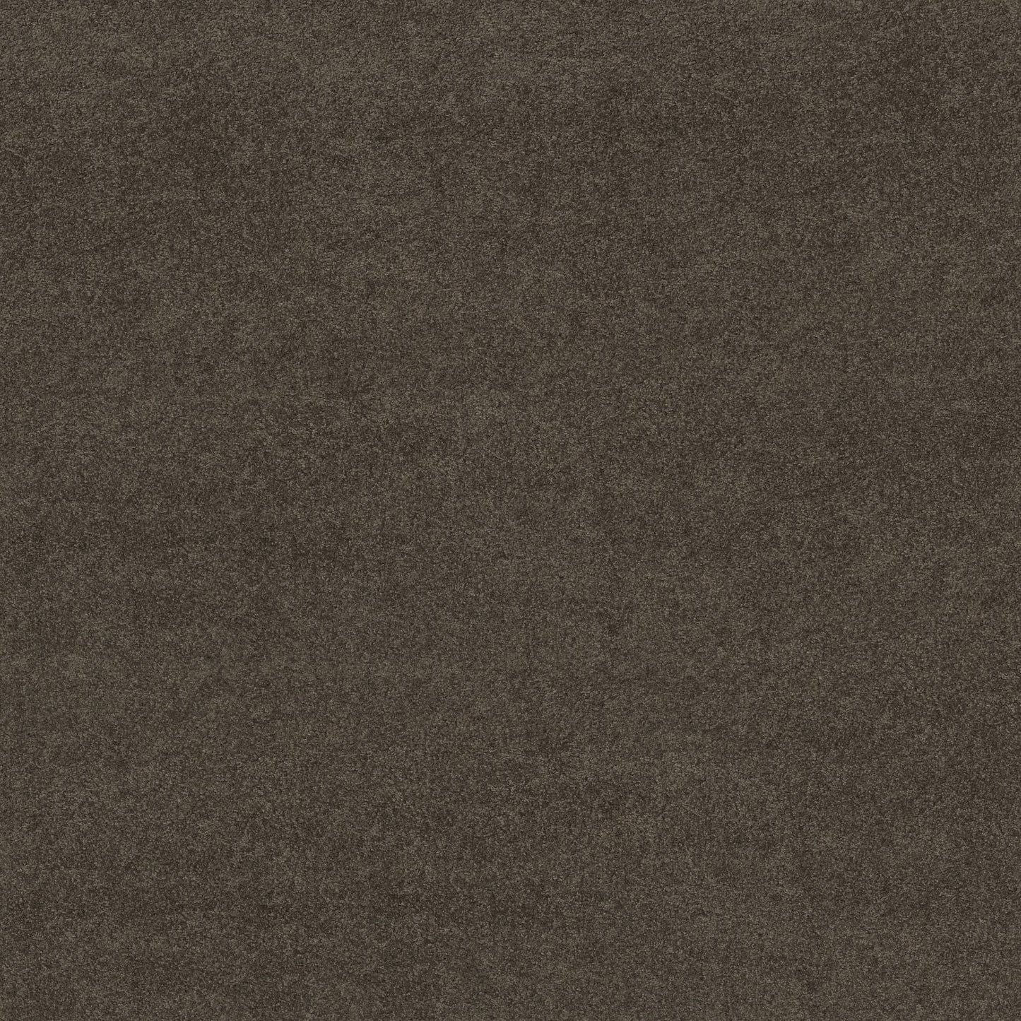 TEXTURE BCF