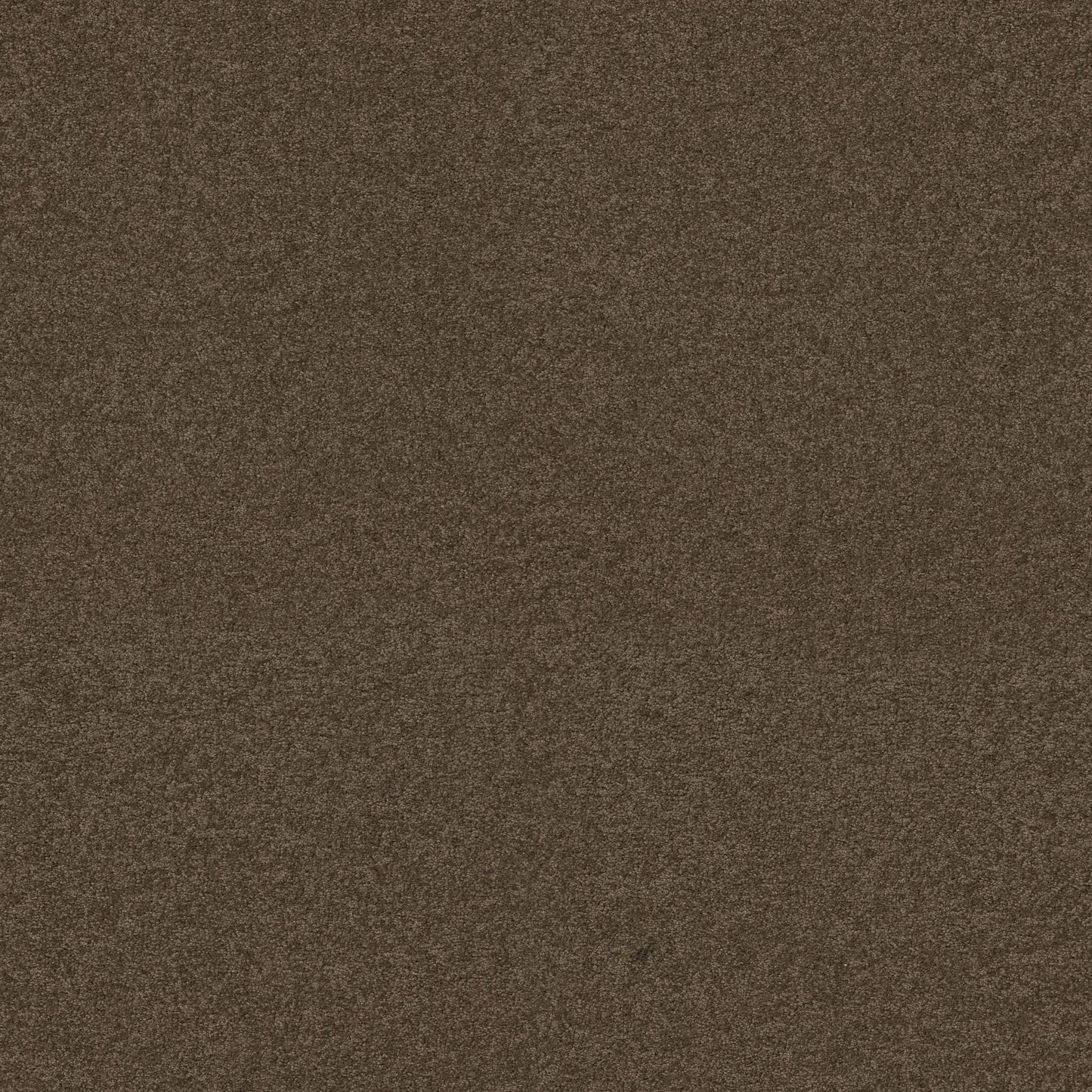 TEXTURE BCF